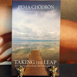 Book Taking the Leap Freeing Yourself from Old Habits by Pema Chodron